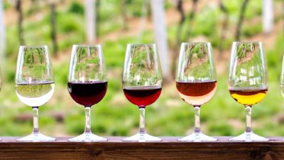 Napa Valley Winery Tour