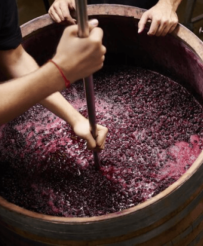 Wine Makers