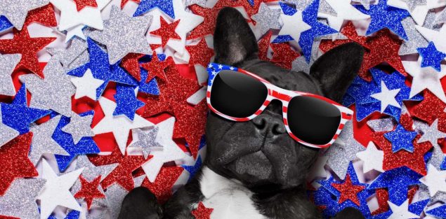 Weird and Funny Things you Need for Independence Day - CrawlSF