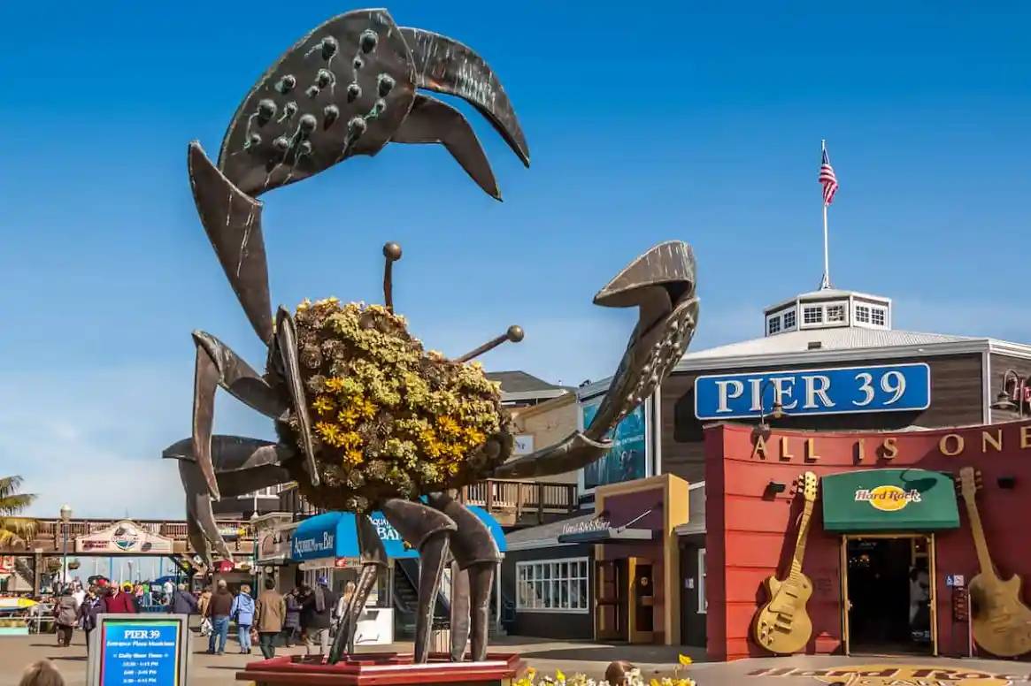 Sea Lions at Pier 39 at Fisherman`s Wharf, San Francisco, USA