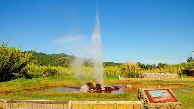 Old Faithful Geyser of California