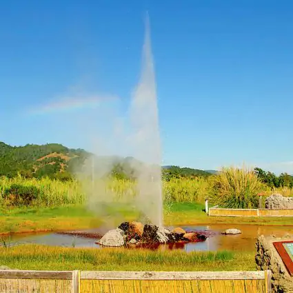 Old Faithful Geyser of California