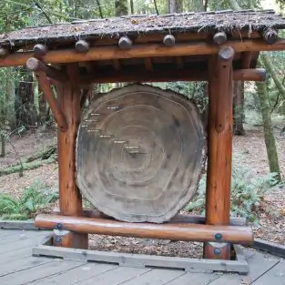 Attraction at Muir Woods