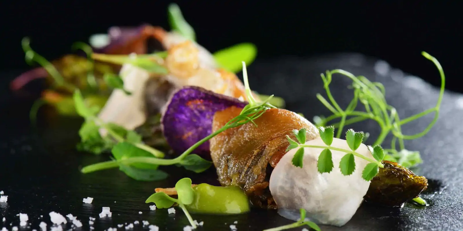 Food Tours