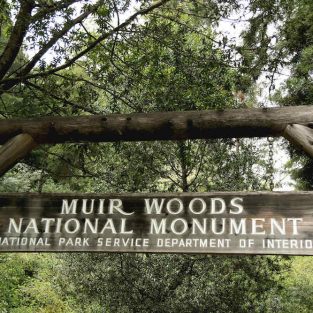 Muir Woods National Monument Sign