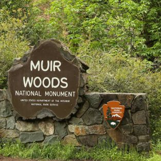 Muir Woods Sign