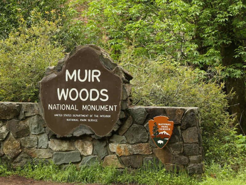 Muir Woods Sign