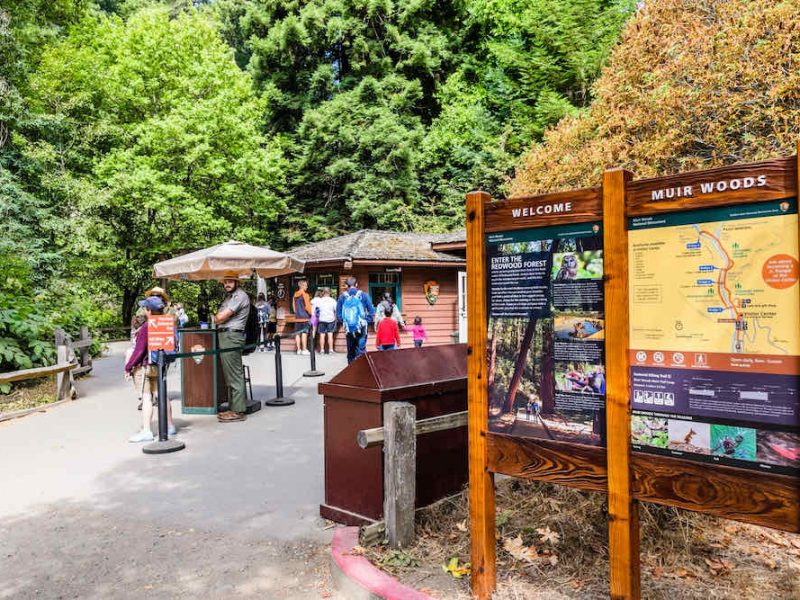 Muir Woods Visitors