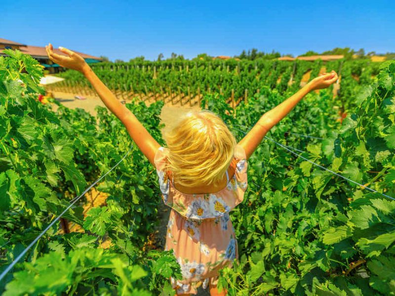 Napa Valley Winery Tours