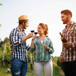 Enjoying Wine in Napa Valley