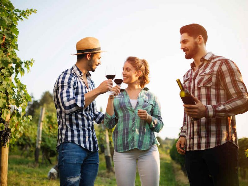 Enjoying Wine in Napa Valley