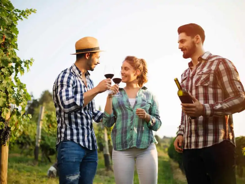 Enjoying Wine in Napa Valley