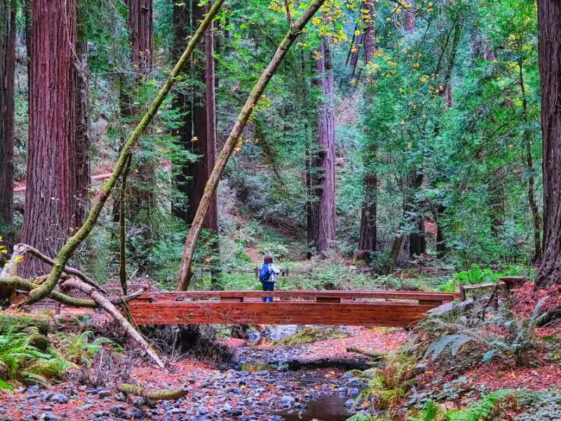 Muri Woods Bridge