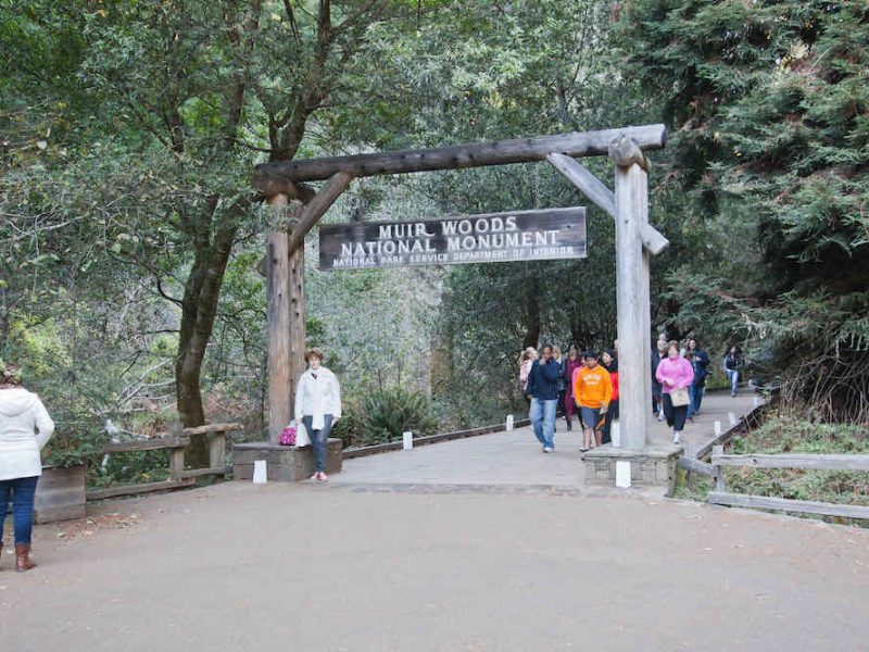 Muir Woods Attraction