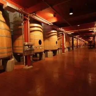 Winery Tours Attractions
