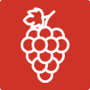 Winery Tours