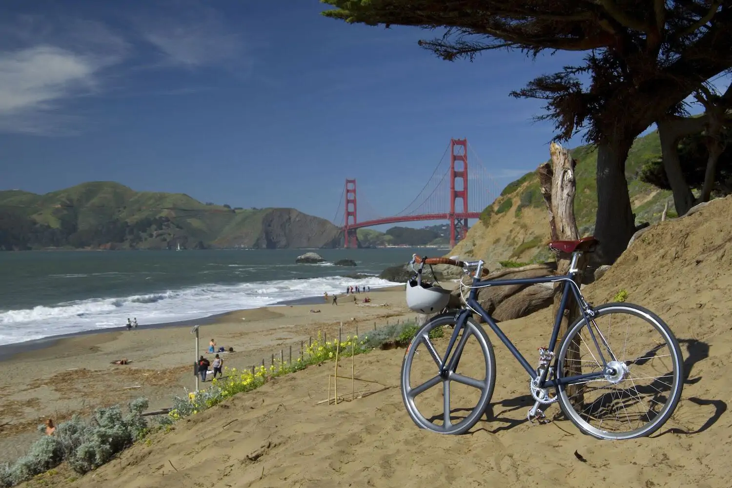 San Francisco Bay Area Activities