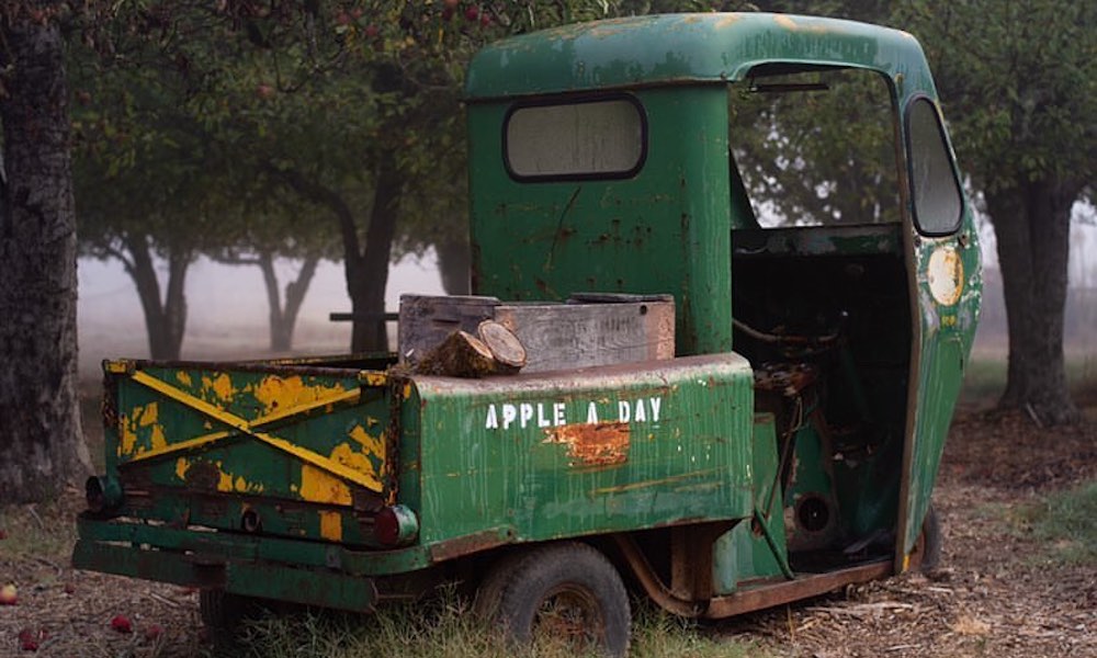 Apple a Day Ranch