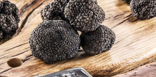 Best Truffles in San Francisco