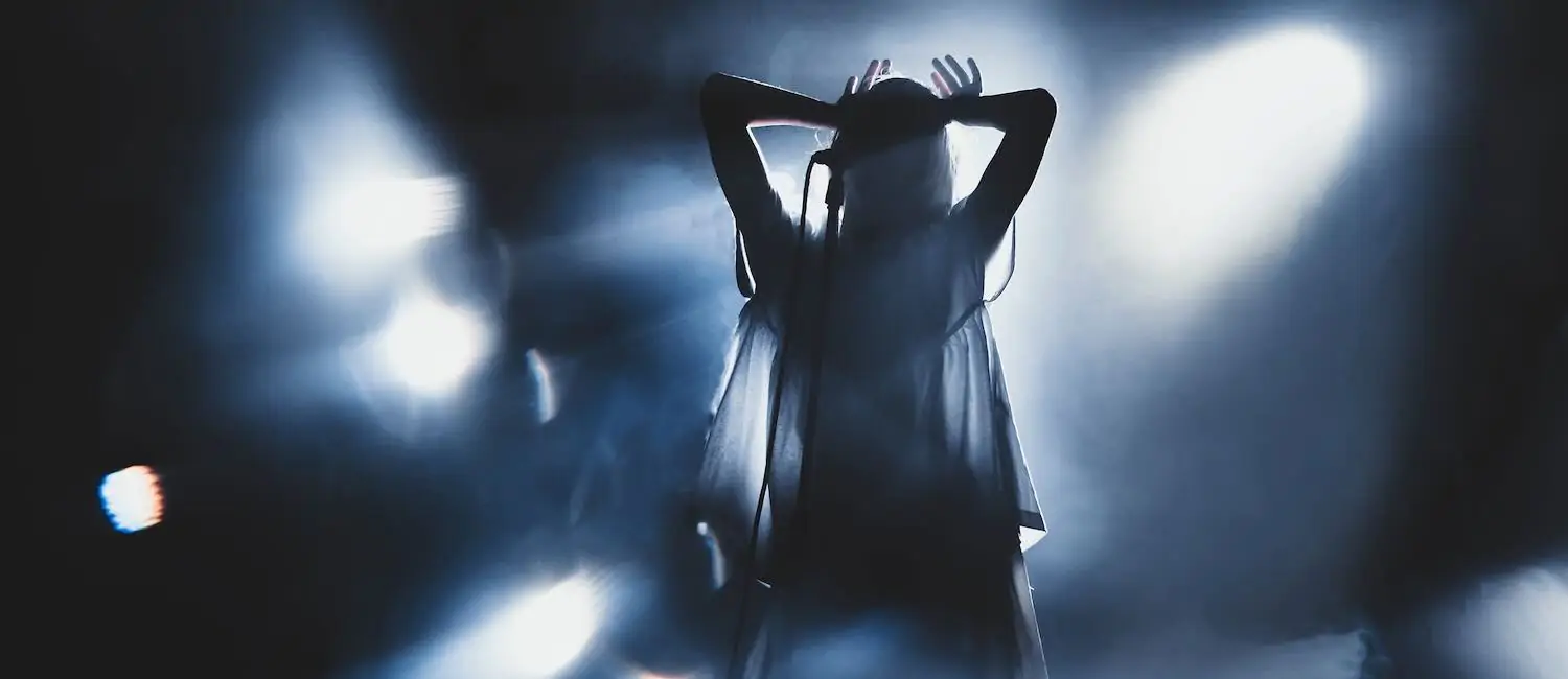 Singer on Stage at Concert