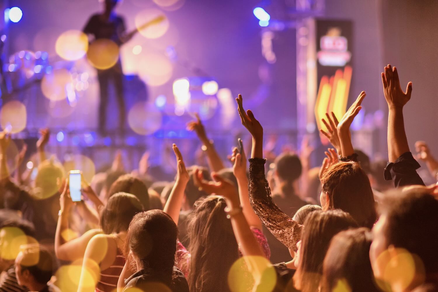 Concert Crowd