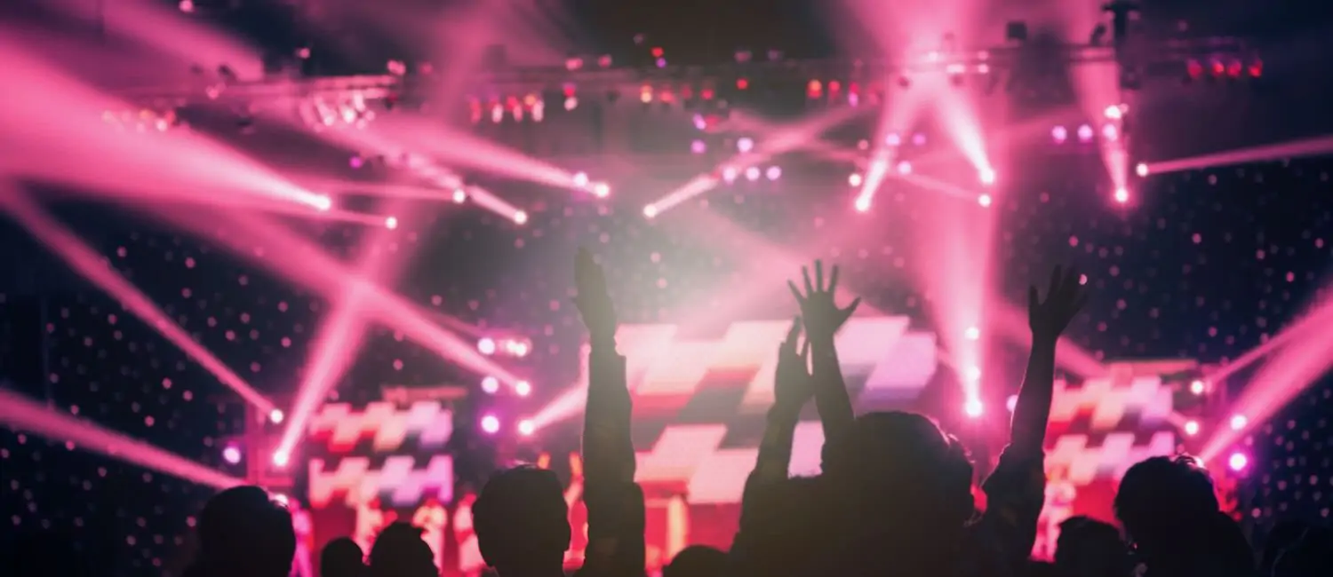 Crowd at Music Festival