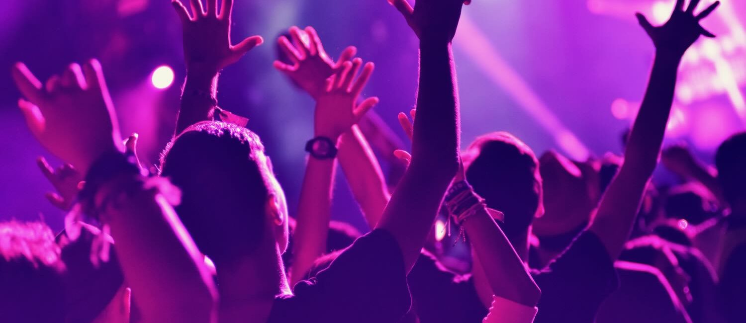 Music fans at a concert