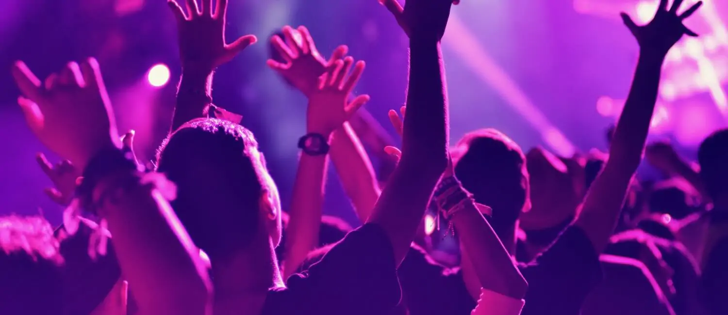 Music fans at a concert