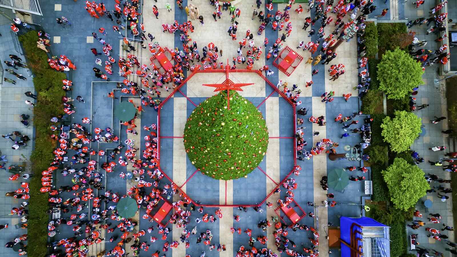 Union Square Christmas Tree