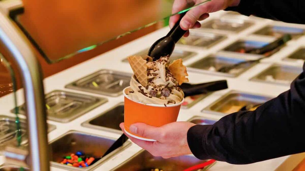 Frozen Yogurt Toppings