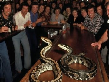 San Francisco Snake Races