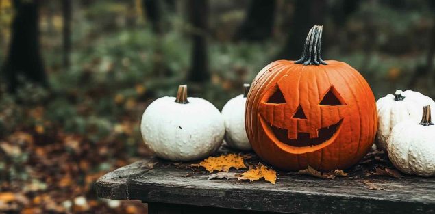 Jack O Lantern on Bench