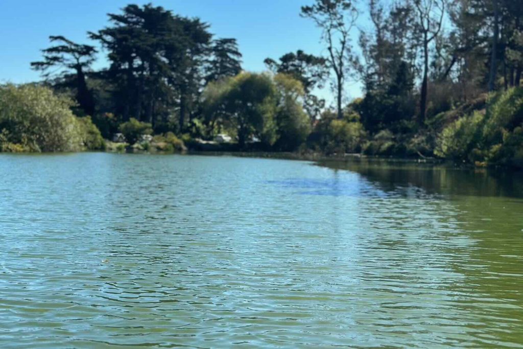 Stowe Lake in San Francisco